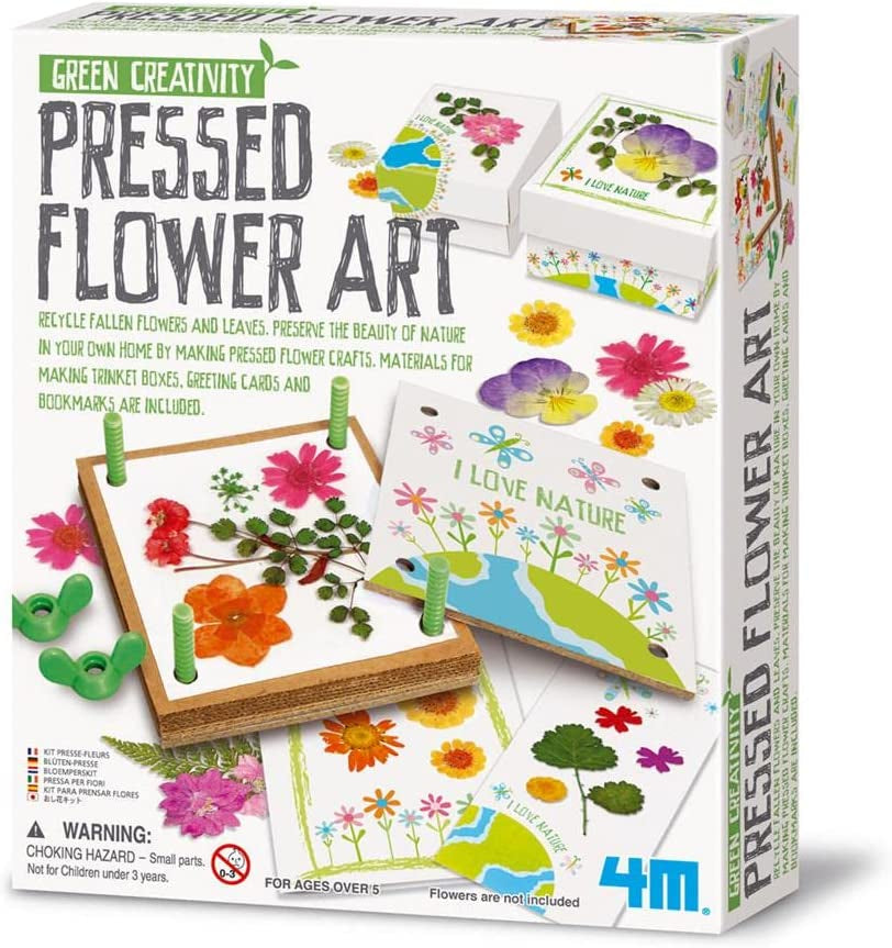 Green Science Pressed Flower Art, Recycle Fallen Flowers and Leaves, Inspire Green Creativity, Stimulates Ecological Awareness