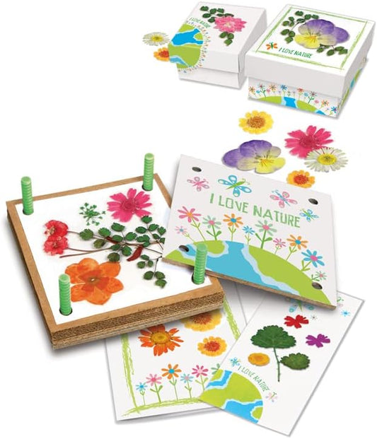 Green Science Pressed Flower Art, Recycle Fallen Flowers and Leaves, Inspire Green Creativity, Stimulates Ecological Awareness