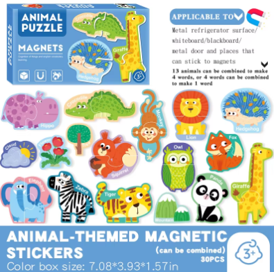 Magnetic Puzzles