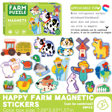 Magnetic Puzzles