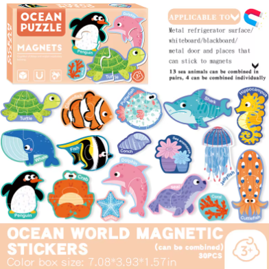 Magnetic Puzzles