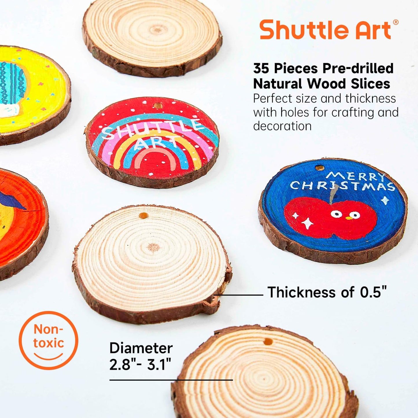 Wood Slices Kit, 35 PCS Unfinished Natural Wood Slices with Pre-Drilled Hole, Acrylic Paint, Permanent Markers, Jute Twine, DIY Craft for Kids Adults Holiday Decoration Christmas Ornaments